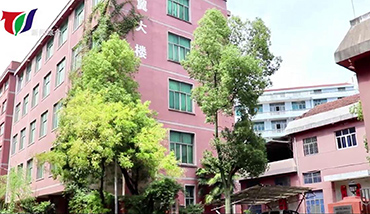 FG高分子吸附材料